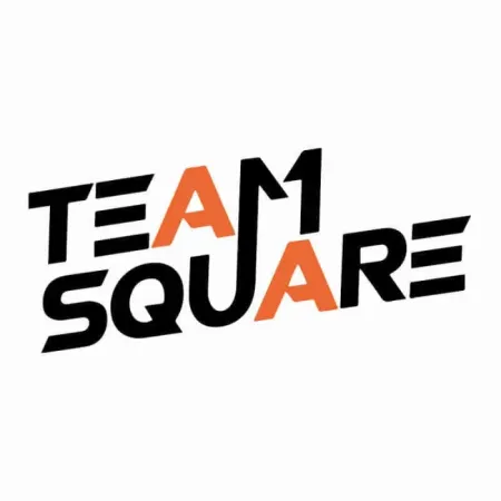 Logo Team Square
